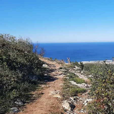 House * Буаркуш