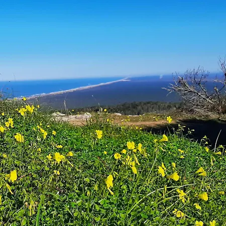 House Апартаменты Буаркуш