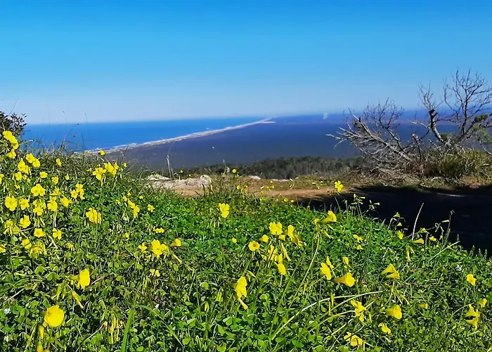 House Apartment Buarcos